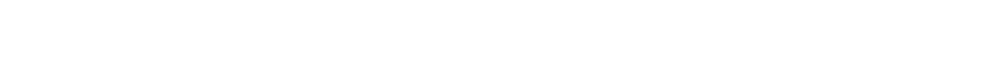 Wash Syndicate logo